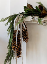 Thumbnail for picture #9