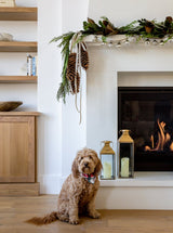 Thumbnail for picture #8