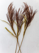 Thumbnail for picture #4