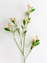 Thumbnail for picture #9