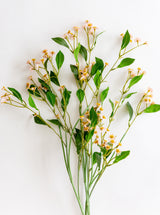 Thumbnail for picture #10