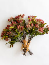 Thumbnail for picture #5