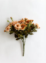 Thumbnail for picture #1