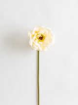 Thumbnail for picture #1