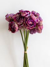 Thumbnail for picture #7