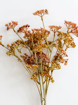 Thumbnail for picture #6