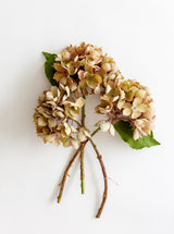 Thumbnail for picture #6