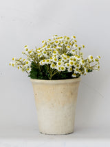 Thumbnail for picture #4