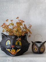 Thumbnail for picture #5