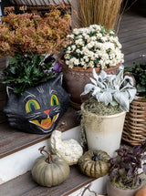 Thumbnail for picture #2