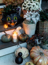 Thumbnail for picture #4