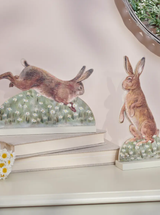 Thumbnail for picture #2