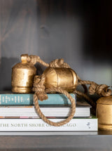 Thumbnail for picture #10