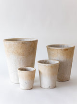 Thumbnail for picture #1