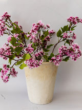 Thumbnail for picture #17