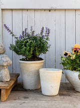 Thumbnail for picture #16