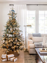 Thumbnail for picture #5