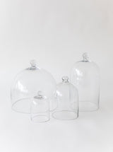 Thumbnail for picture #1