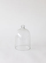 Thumbnail for picture #8