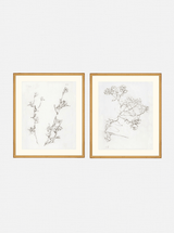 Thumbnail for picture #1