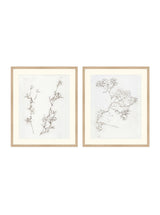 Thumbnail for picture #6