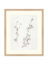 Thumbnail for picture #3