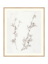 Thumbnail for picture #5