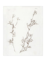 Thumbnail for picture #25