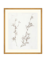 Thumbnail for picture #17