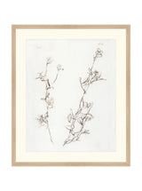 Thumbnail for picture #4