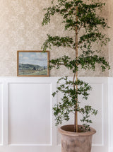 Thumbnail for picture #3