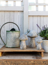 Thumbnail for picture #4