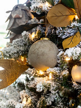 Thumbnail for picture #3