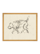 Thumbnail for picture #14