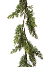 Thumbnail for picture #11