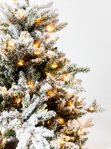 Thumbnail for picture #6