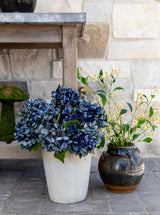 Thumbnail for picture #4