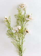 Thumbnail for picture #7