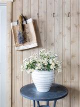 Thumbnail for picture #3