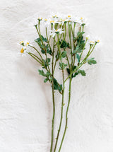 Thumbnail for picture #6