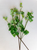 Thumbnail for picture #4