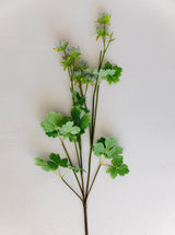 Thumbnail for picture #1