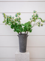 Thumbnail for picture #2