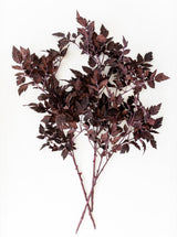 Thumbnail for picture #3