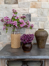 Thumbnail for picture #4