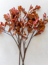 Thumbnail for picture #5