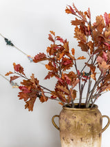 Thumbnail for picture #4