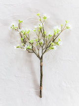 Thumbnail for picture #1