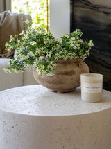 Thumbnail for picture #2