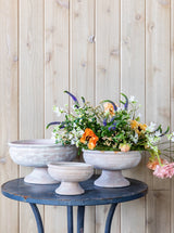 Thumbnail for picture #5